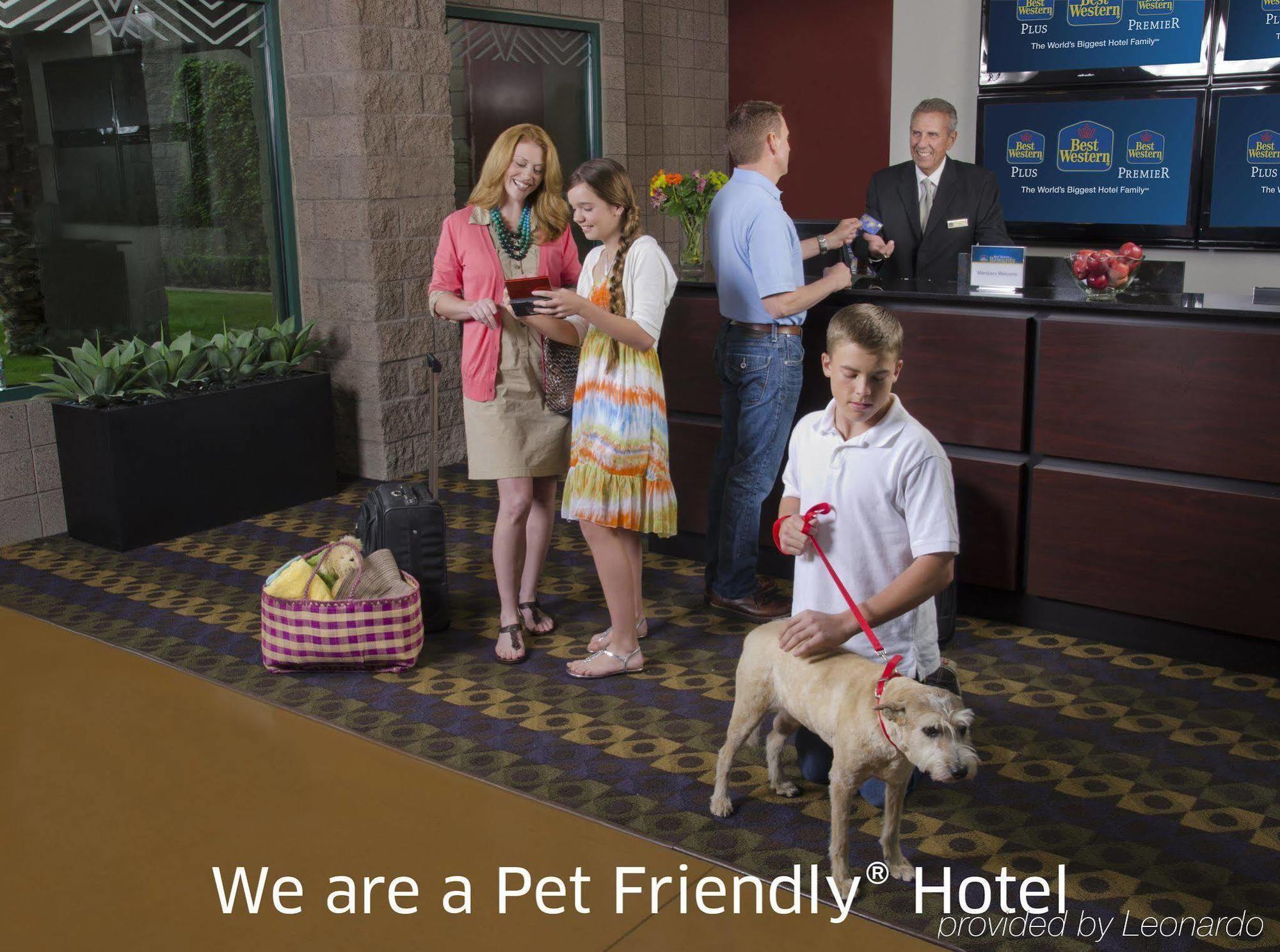 Best Western Plus Lytle Inn And Suites Екстериор снимка